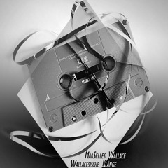 Marselles Wallace - Wallacesische Klänge (Snippet) October 21th 2015