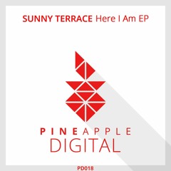 Sunny Terrace - Sunny Tides (Original Mix) Preview [Pineapple Digital]