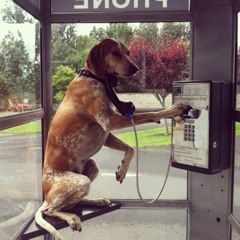 "Rotwein und Käse" Live Mix By JseX B2b Pierre J