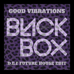 Black Box - Good Vibrations (D.E.F Edit)