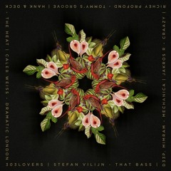 Hank & Deck - The Heat (Original Mix) (Preview) [303Lovers]