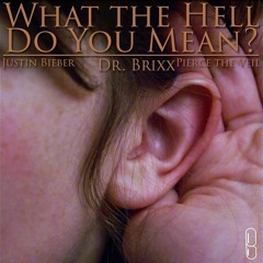 What the Hell Do You Mean? - Pierce The Veil v Justin Bieber (Dr. Brixx)