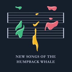Humpback Whale in Madagascar from New Sounds of the Humpback Whale CD