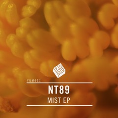 NT89 - Mist