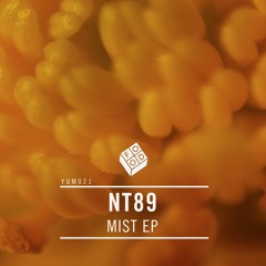 NT89 - Stripe