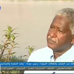 الشاعر أزهري محمد علي - ثرثرة المياه والعصافير
