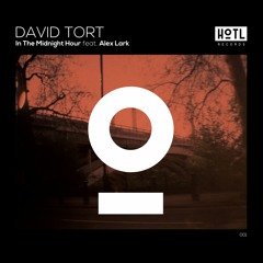 David Tort - In The Midnight Hour Ft. Alex Lark