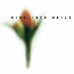 Nine Inch Nails - Deep (Instrumental)