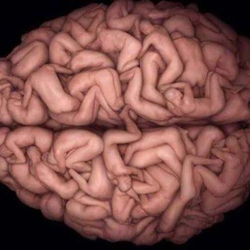 Bipolar Brain