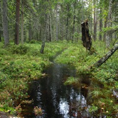Lordi Laakerinmäki (APTO, Dimension 1)
