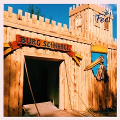 Pedro - Live @ Feel Festival 2015