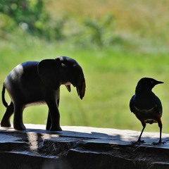 Como for - Andre Martins e Max