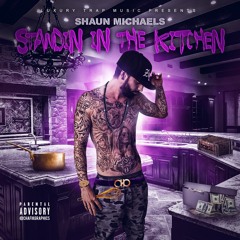 Standin' In The Kitchen-  Shaun Michaels [Prod. By Scott Styles]