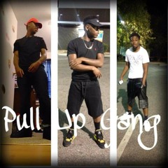 pull up gang-in this bitch.wav