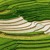 Artwork for Cultivation Of The Real In The Presence Of The Pure - Jummah Service