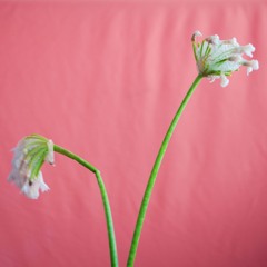 A Cute Attempt At Getting Even