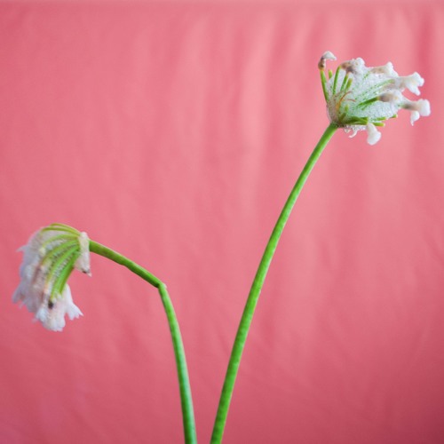 A Cute Attempt At Getting Even