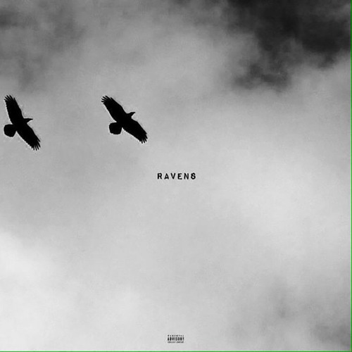 Cameron Butler & Blue November - Ravens