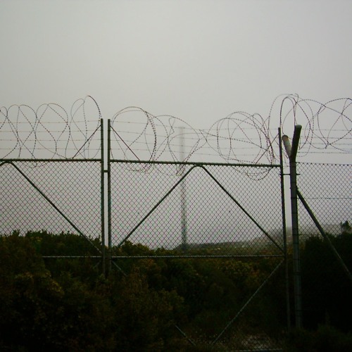 Echelon (The Neverdisco)