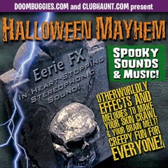 A Walk Through The Woods