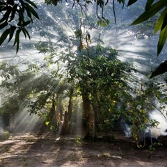 Feeling better #hiphop#rap#freestyle#420#rad#sickbeats#instrumental#new#money#love#weed#filthy#rich