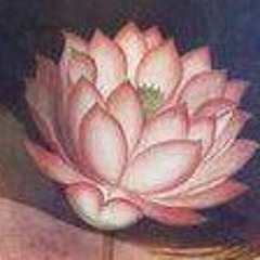 3/10/2015 light codes from higher self