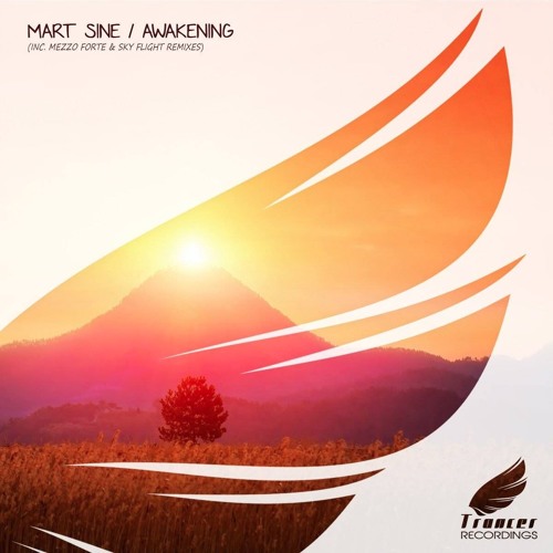 Mart Sine - Awakening (Sky Flight Bangin' Mix) [Trancer Recordings]
