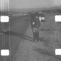 Ambient Loop For Vancouver (Excerpt)