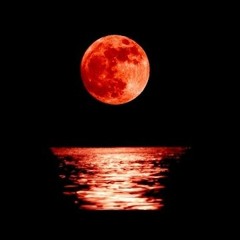 From Dark Light Into Bright Darkness