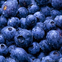 Too Old To Die Young Now - Sweet