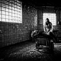 Montek_-_Terror in Polinya (Preview)