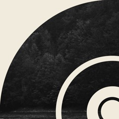 wymyślanie ptaków (2014)