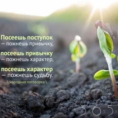 Цитата о судьбе