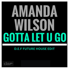 D.E.F & Amanda Wilson vs Capsule - Gotta let you go(D.E.F Edit)