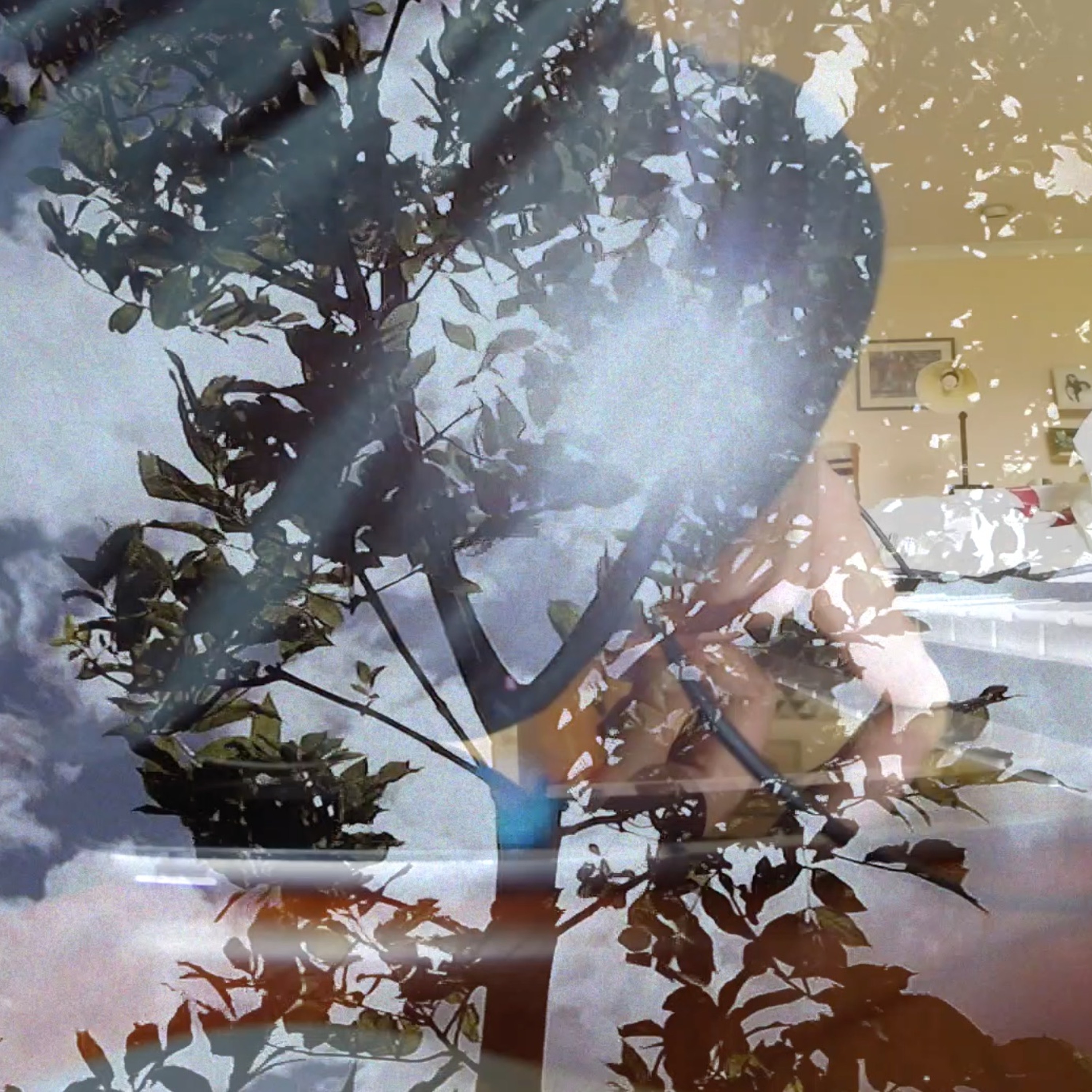 Flowers Beneath episode artwork