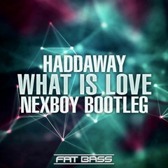 Haddaway - What Is Love (NEXBOY Bootleg)