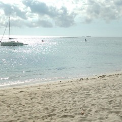 DJ ANGEL - MAURITIUS SEGA VIBRATION