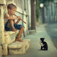 lonely beats -neil singh