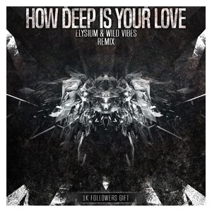 Calvin Harris & Disciples - How Deep Is Your Love (Elysium & WildVibes Remix)
