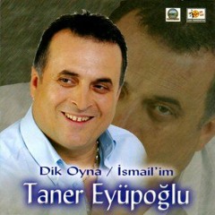 Taner Eyüboğlu Oh Oldu