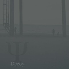 Understated Theory - Juxtapparition - 07 Decoy