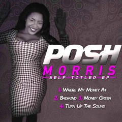 Turn Up The Sound -  Posh Morris