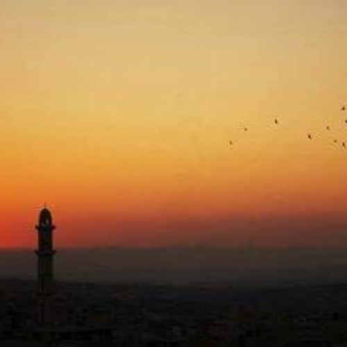 الشّوق حرَّكني بِ غير تردُدِ ♥