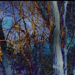 Transport 07132015 - 10032015, 4.24 PM