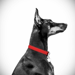 September Doom Squad Cypher Feat. Boosh & the Dip