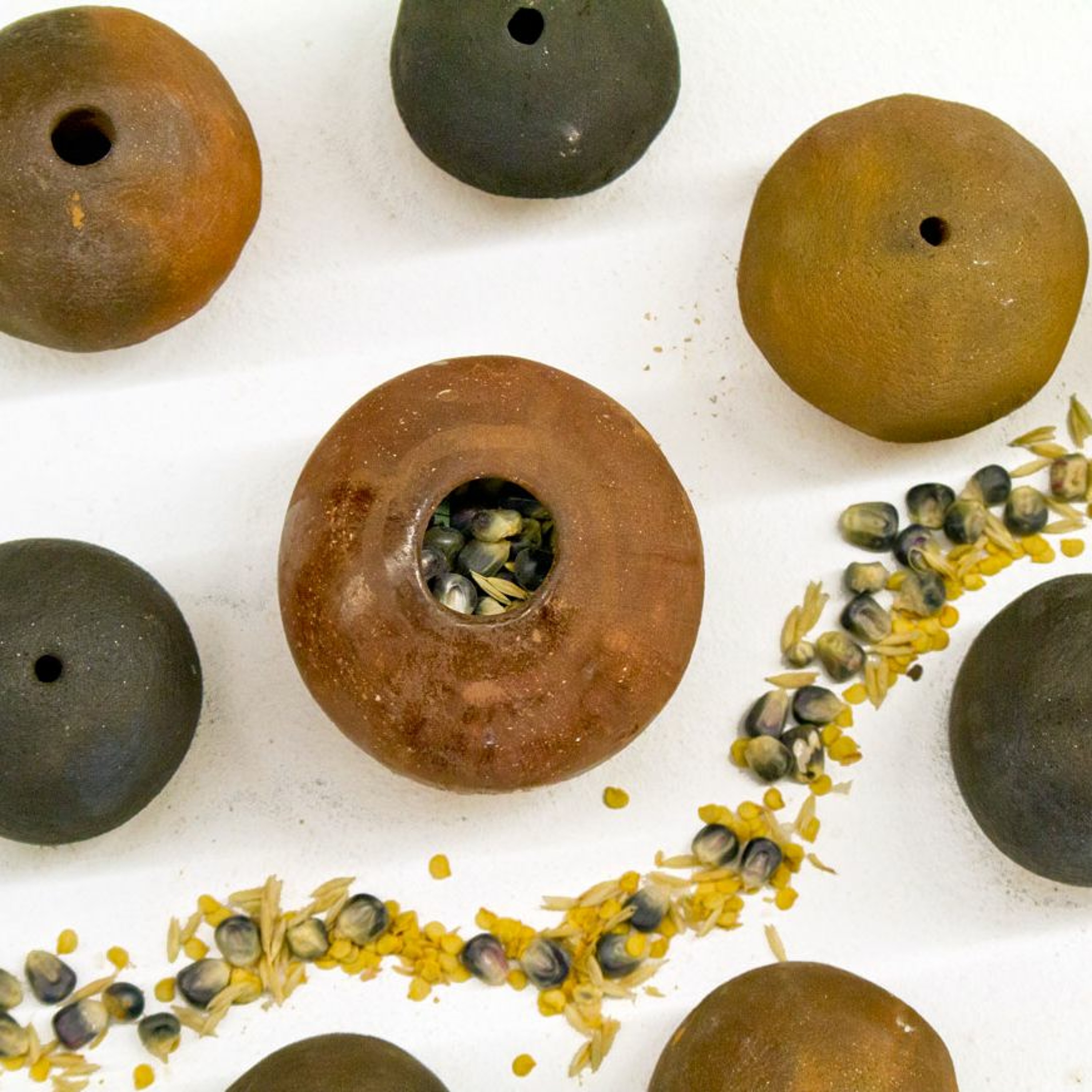 Seed Story Broadcasts