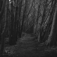 i'm sad because i used to be happy