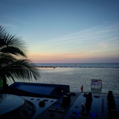 One Thing, 12th Diary of ToBi