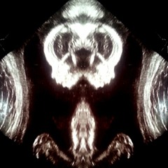 The Sixth Extinction