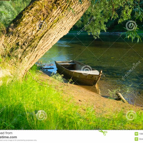 L'arbre Ou La Pirogue